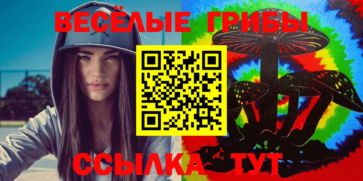 наркота  Галлюциногенные грибы GOLDEN TEACHER  Керчь  Вход с VPN  Галлюциногенные грибы MAGIC MUSHROOMS 