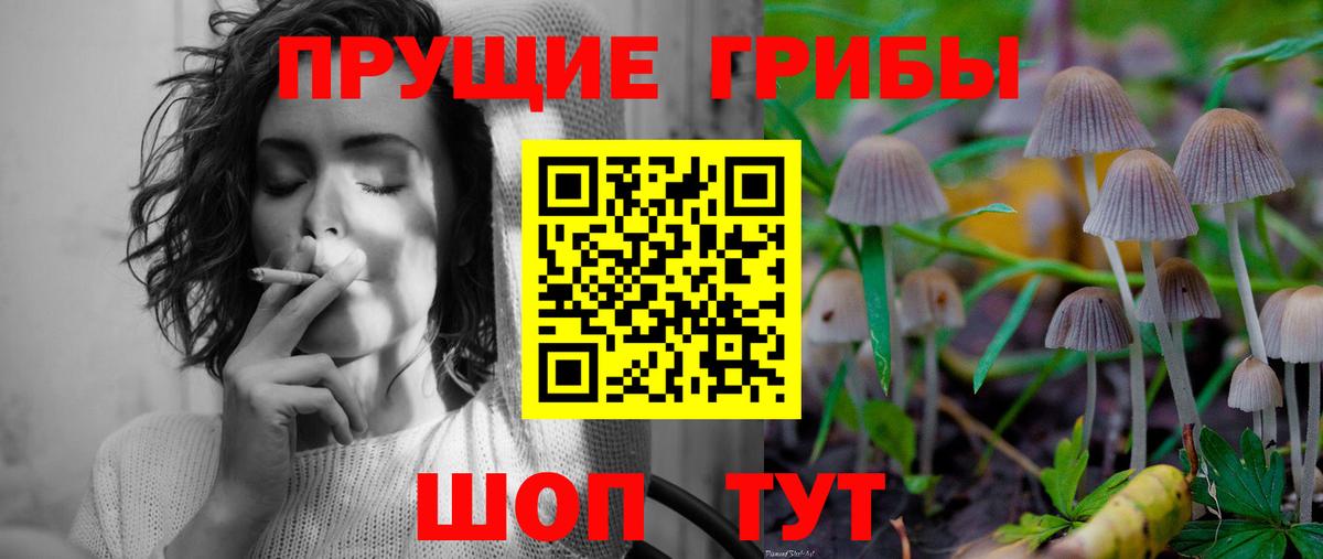Галлюциногенные грибы мухоморы Керчь
